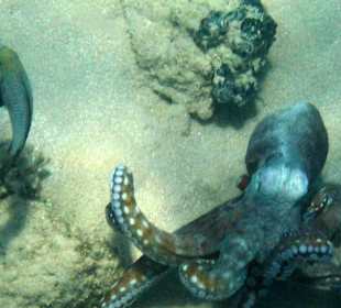 Jetzt wieder verändert