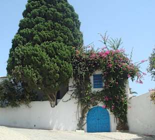 Сиди Бу Саид.