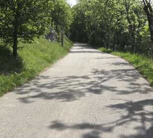 Kreuzweg auf dem Hohenrechberg