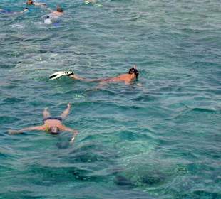 Schnorcheln bei einem Riff