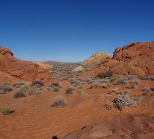 Im Valley of Fire unterwegs
