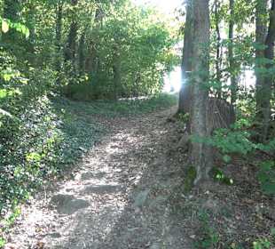 Wanderung zur Burgruine Liebenau
