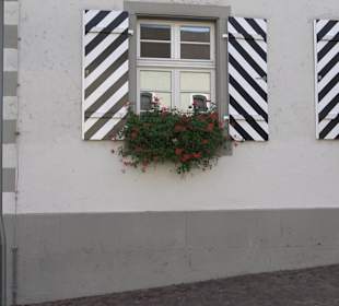 Rathaus / Altes Schloss