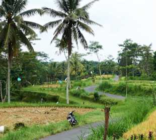 Ubud