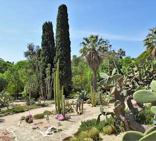 Impressionen aus dem Botanischen Garten Cagliari