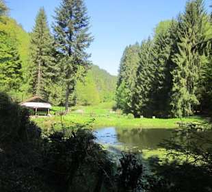 Auf dem Weg zur Queichquelle