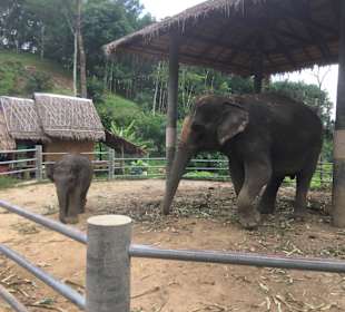 14 Monate altes Baby