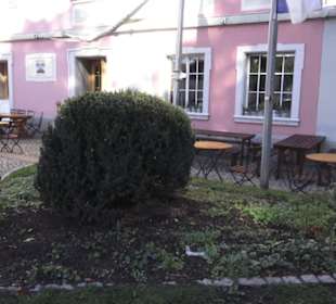 Fürstenberg-Bräustüble