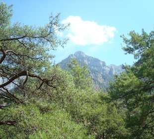 Ущелье Самарья