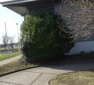 Ballspielhalle Walddorfhäslach