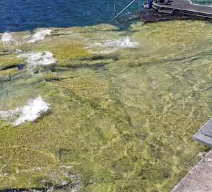 Felsenplatte im Garda