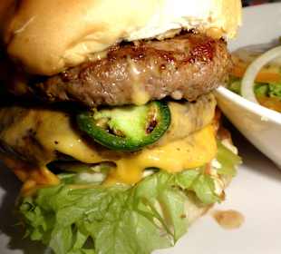 Der "Turbo-Burger" im Detail