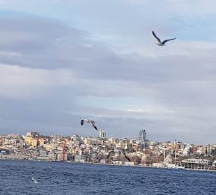 Stadtrundfahrt Istanbul