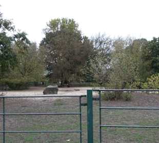 Tierpark 