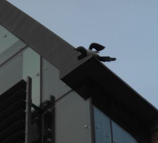 Старый город