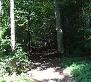 Premiumwanderweg "hochgesprudelt"