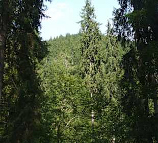 Parcul Natural Apuseni