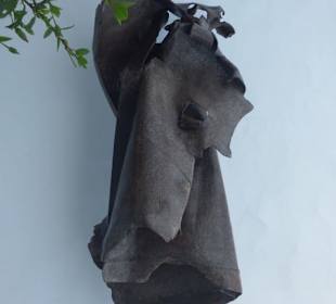 Fundacion Cesar Manrique