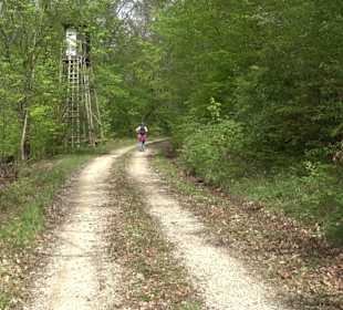 Wandertour durchs Reissenbachtal Oberhausen