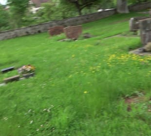 Friedhof Salzstetten