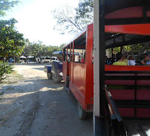 Shuttle zum Eingang > Tulum