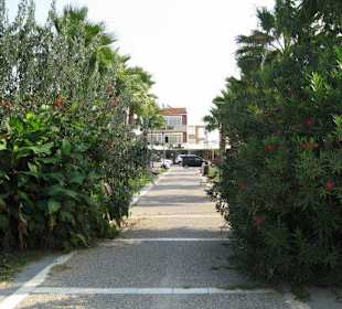 Blick nach Hauptstrasse in Sigacik