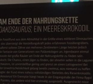 Dinosaurier Museum Altmühltal