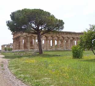 Paestum: Griechischer Tempel
