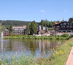 Kurpark in Hahnenklee