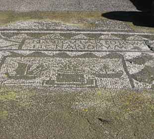 Mosaike im neuen Glanz