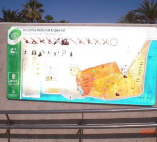 Dünen von Maspalomas