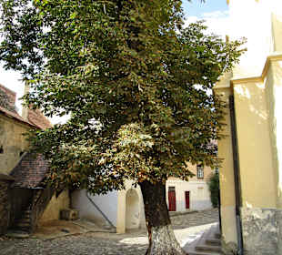 Margarethenkirche Mediaș