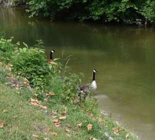 Schloss Westerwinkel 