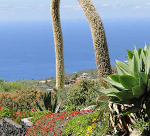 Cumbre Vieja / Lavastrom von San Nicolas