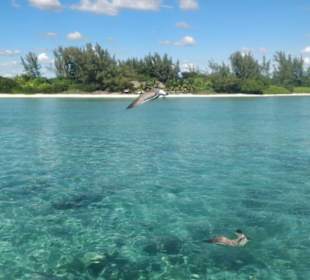 Kristallklares Wasser