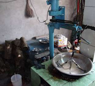 Produktion