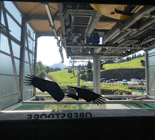 Mit der Söllereckbahn von 990 auf 1360 m Höhe