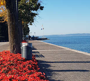 Strandpromenade Lazise