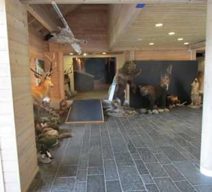  Nationalpark Jostedalsbreen