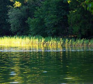 Reintaler See