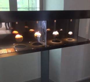 Ausstellung Sittikus