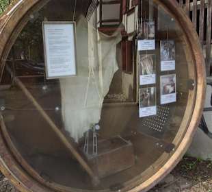 Stadtrundgang Blaubeuren