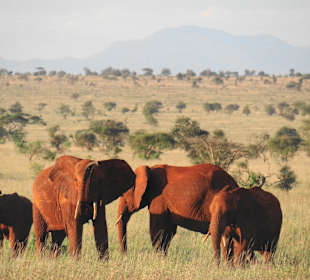 Taita Gebiet