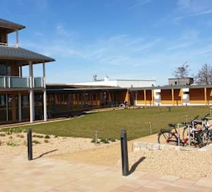 Umgebung am Berzdorfer See.