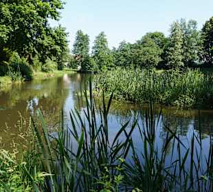 Wandern Zwettl