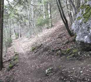 Wanderweg Hochgehswiggert