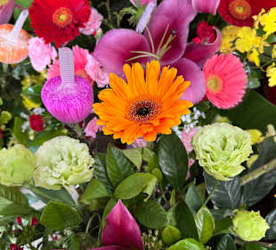 Alishan National Forest