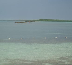 Isla Contoy