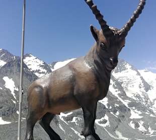 Grossglockner