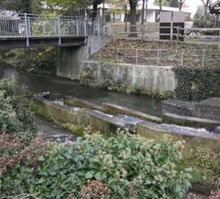Baumannsche Mühle